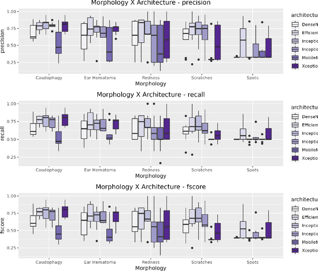 Figure 4 for Using Deep Learning for Morphological Classification in Pigs with a Focus on Sanitary Monitoring