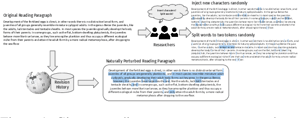 Figure 1 for Pay Attention to Real World Perturbations! Natural Robustness Evaluation in Machine Reading Comprehension