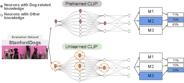 Figure 1 for Rethinking Few Shot CLIP Benchmarks: A Critical Analysis in the Inductive Setting