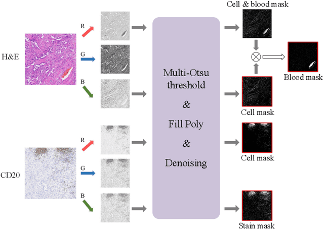 Figure 3 for Histology Virtual Staining with Mask-Guided Adversarial Transfer Learning for Tertiary Lymphoid Structure Detection