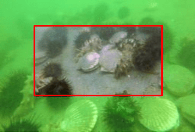 Figure 1 for Blind Underwater Image Restoration using Co-Operational Regressor Networks