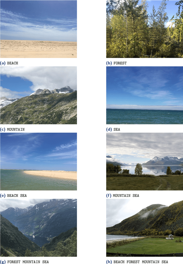 Figure 1 for Automated Machine Learning for Multi-Label Classification