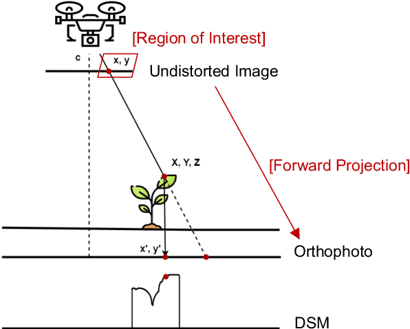 Figure 4 for MatchPlant: An Open-Source Pipeline for UAV-Based Single-Plant Detection and Data Extraction