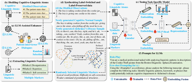 Figure 1 for DECT: Harnessing LLM-assisted Fine-Grained Linguistic Knowledge and Label-Switched and Label-Preserved Data Generation for Diagnosis of Alzheimer's Disease