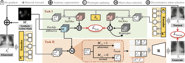 Figure 3 for AFiRe: Anatomy-Driven Self-Supervised Learning for Fine-Grained Representation in Radiographic Images