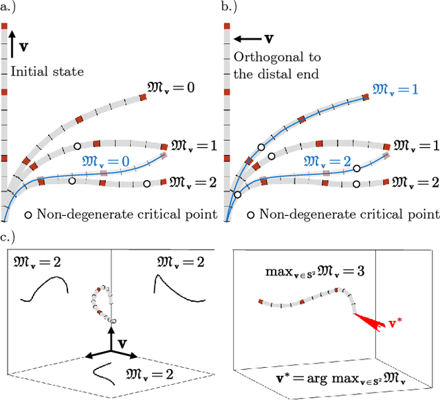 Figure 2 for Topology-Inspired Morphological Descriptor for Soft Continuum Robots
