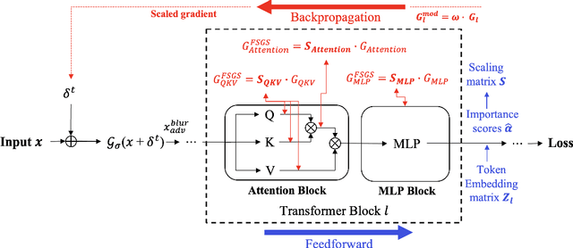 Figure 1 for TESSER: Transfer-Enhancing Adversarial Attacks from Vision Transformers via Spectral and Semantic Regularization