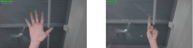 Figure 4 for Towards Senior-Robot Interaction: Reactive Robot Dog Gestures