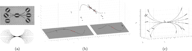 Figure 1 for Individuation of 3D perceptual units from neurogeometry of binocular cells