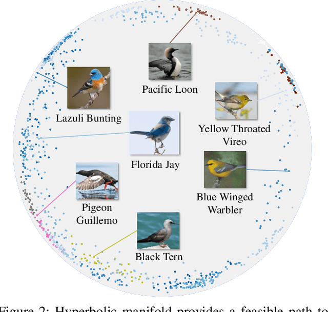 Figure 3 for Learning Fine-grained Domain Generalization via Hyperbolic State Space Hallucination