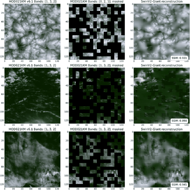 Figure 2 for SatVision-TOA: A Geospatial Foundation Model for Coarse-Resolution All-Sky Remote Sensing Imagery