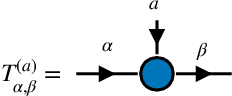 Figure 2 for Cons-training tensor networks