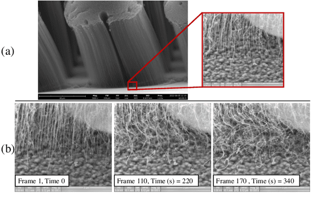 Figure 3 for Automated Feature Tracking for Real-Time Kinematic Analysis and Shape Estimation of Carbon Nanotube Growth
