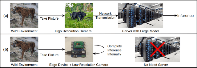 Figure 1 for Animal Re-Identification on Microcontrollers