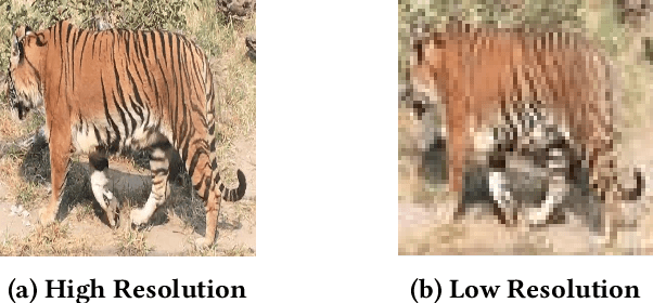 Figure 3 for Animal Re-Identification on Microcontrollers