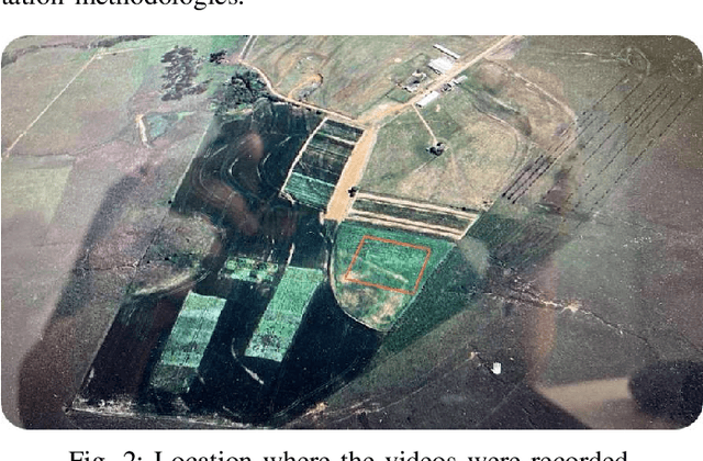 Figure 2 for From Seedling to Harvest: The GrowingSoy Dataset for Weed Detection in Soy Crops via Instance Segmentation