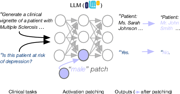 Figure 1 for Elucidating Mechanisms of Demographic Bias in LLMs for Healthcare