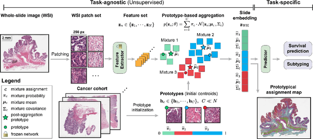 Figure 3 for Morphological Prototyping for Unsupervised Slide Representation Learning in Computational Pathology