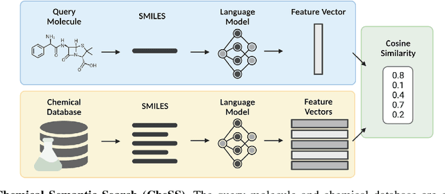 Figure 1 for Prompt Engineering for Transformer-based Chemical Similarity Search Identifies Structurally Distinct Functional Analogues