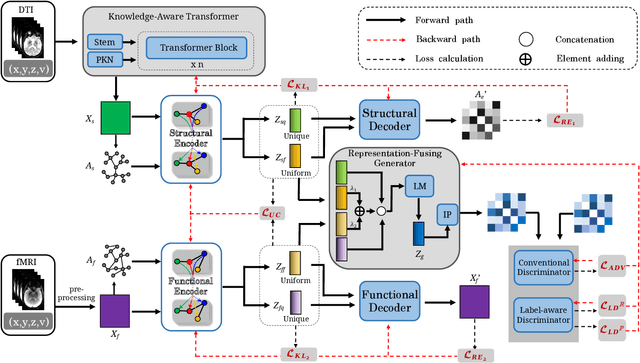 Figure 1 for Brain Structure-Function Fusing Representation Learning using Adversarial Decomposed-VAE for Analyzing MCI
