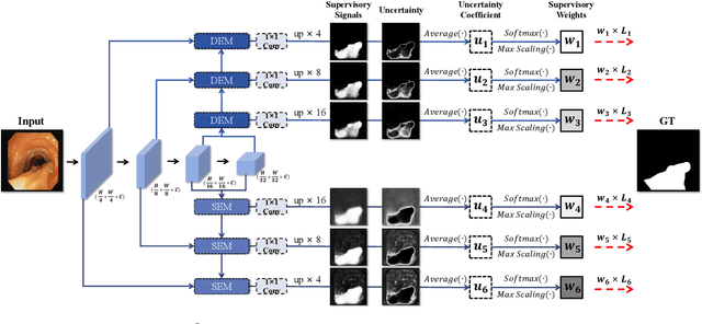 Figure 3 for DS$^2$Net: Detail-Semantic Deep Supervision Network for Medical Image Segmentation