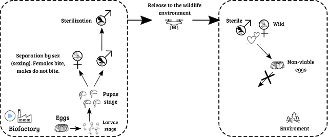 Figure 1 for Automatic Counting and Classification of Mosquito Eggs in Field Traps