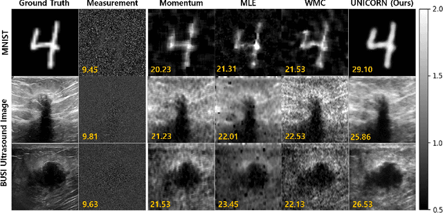Figure 4 for UNICORN: Ultrasound Nakagami Imaging via Score Matching and Adaptation