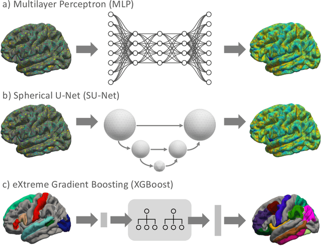 Figure 3 for Stochastic Cortical Self-Reconstruction