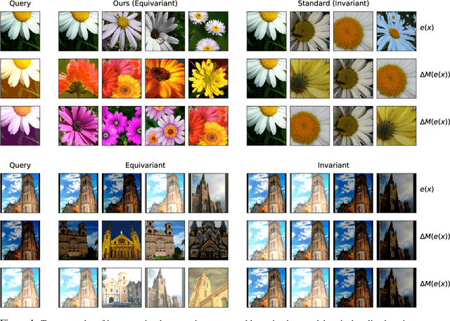 Figure 1 for Steerable Equivariant Representation Learning