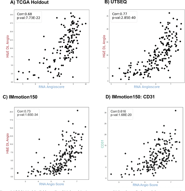 Figure 2 for Histopathology Based AI Model Predicts Anti-Angiogenic Therapy Response in Renal Cancer Clinical Trial