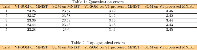 Figure 2 for An anatomy-based V1 model: Extraction of Low-level Features, Reduction of distortion and a V1-inspired SOM