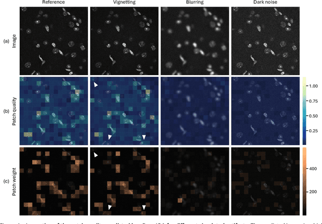 Figure 4 for μDeepIQA: deep learning-based fast and robust image quality assessment with local predictions for optical microscopy