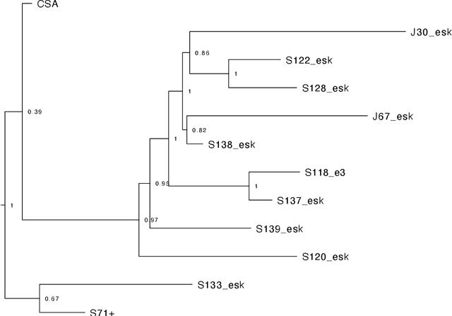Figure 1 for Rdgai: Classifying transcriptional changes using Large Language Models with a test case from an Arabic Gospel tradition