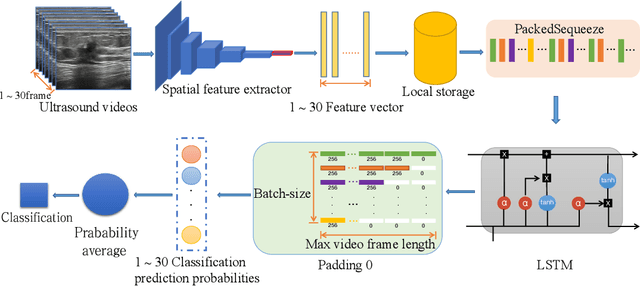 Figure 1 for Variable-frame CNNLSTM for Breast Nodule Classification using Ultrasound Videos