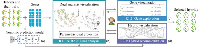 Figure 3 for Interactive Hybrid Rice Breeding with Parametric Dual Projection