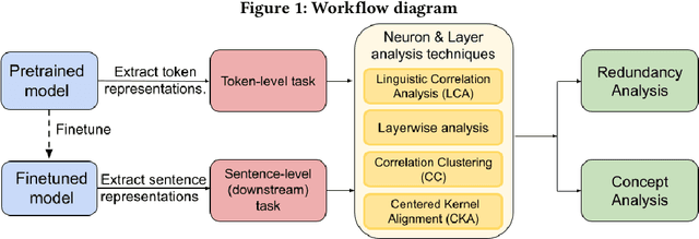Figure 1 for Interpreting Pretrained Source-code Models using Neuron Redundancy Analyses