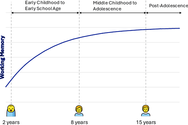 Figure 1 for Developmentally-plausible Working Memory Shapes a Critical Period for Language Acquisition