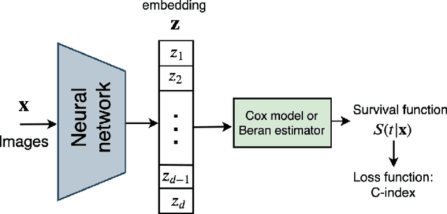 Figure 3 for Survival Concept-Based Learning Models