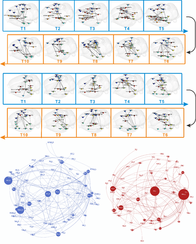 Figure 3 for Generative artificial intelligence-enabled dynamic detection of nicotine-related circuits