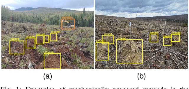 Figure 1 for Automatic counting of planting microsites via local visual detection and global count estimation