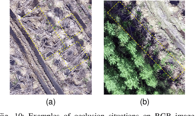 Figure 2 for Automatic counting of planting microsites via local visual detection and global count estimation