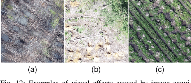 Figure 4 for Automatic counting of planting microsites via local visual detection and global count estimation
