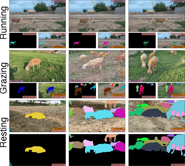 Figure 2 for AnimalFormer: Multimodal Vision Framework for Behavior-based Precision Livestock Farming