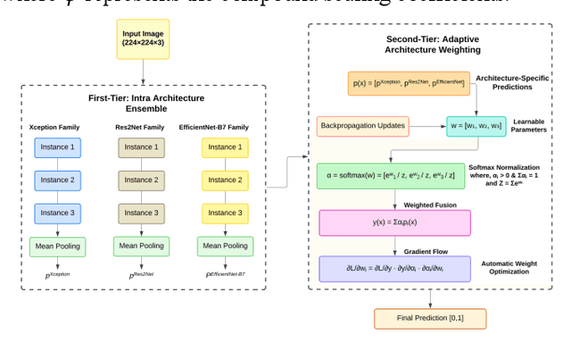 Figure 3 for AWARE-NET: Adaptive Weighted Averaging for Robust Ensemble Network in Deepfake Detection