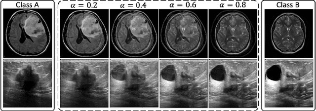 Figure 2 for MedISure: Towards Assuring Machine Learning-based Medical Image Classifiers using Mixup Boundary Analysis
