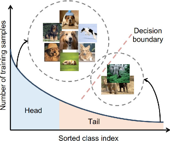 Figure 1 for Fair Differentiable Neural Network Architecture Search for Long-Tailed Data with Self-Supervised Learning