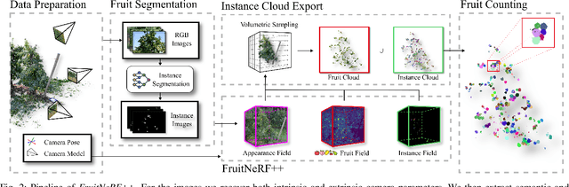 Figure 1 for FruitNeRF++: A Generalized Multi-Fruit Counting Method Utilizing Contrastive Learning and Neural Radiance Fields