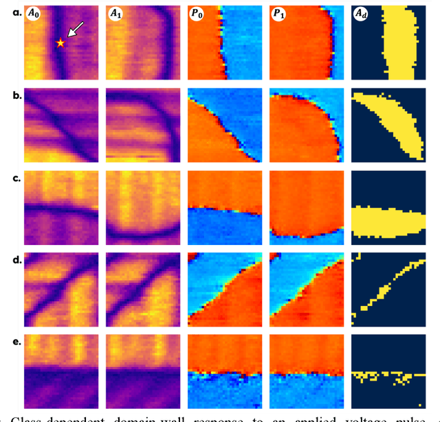 Figure 4 for Exploring Domain Wall Pinning in Ferroelectrics via Automated High Throughput AFM