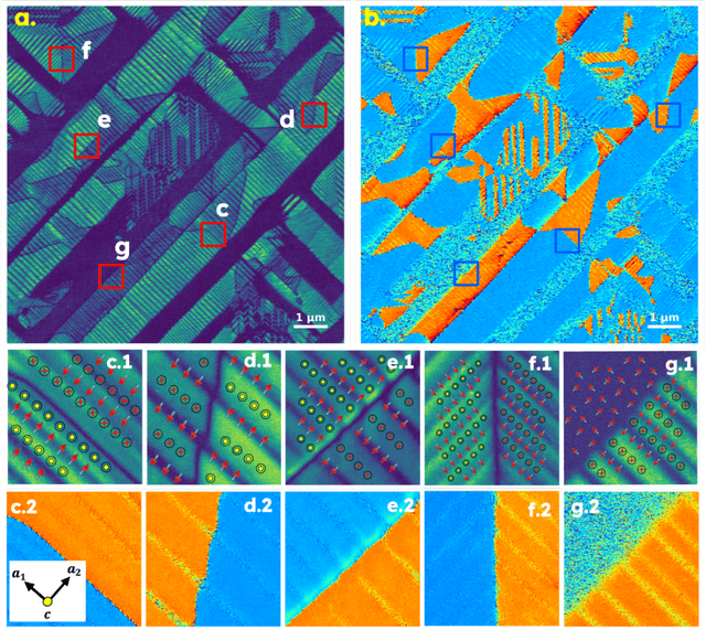 Figure 1 for Exploring Domain Wall Pinning in Ferroelectrics via Automated High Throughput AFM