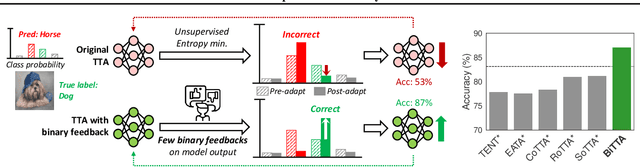 Figure 1 for Test-Time Adaptation with Binary Feedback